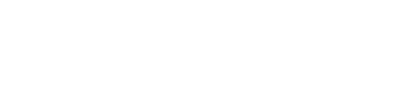 WebVixen logo